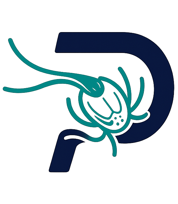 PAGAMENTS.NET